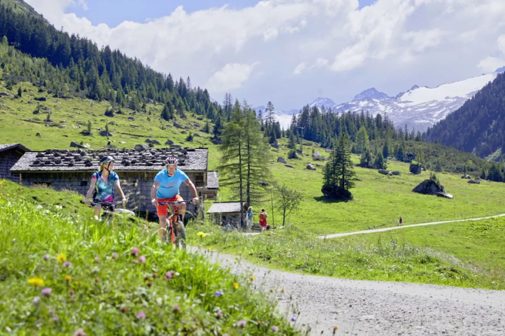 Bergresort Tauernblick 3-Gebiete Sommer 5 km