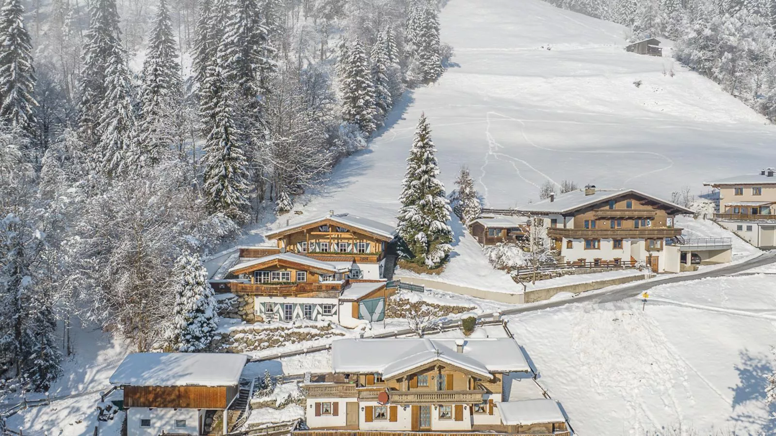 Kitz Hills Chalet Mondschein-Exterior winter