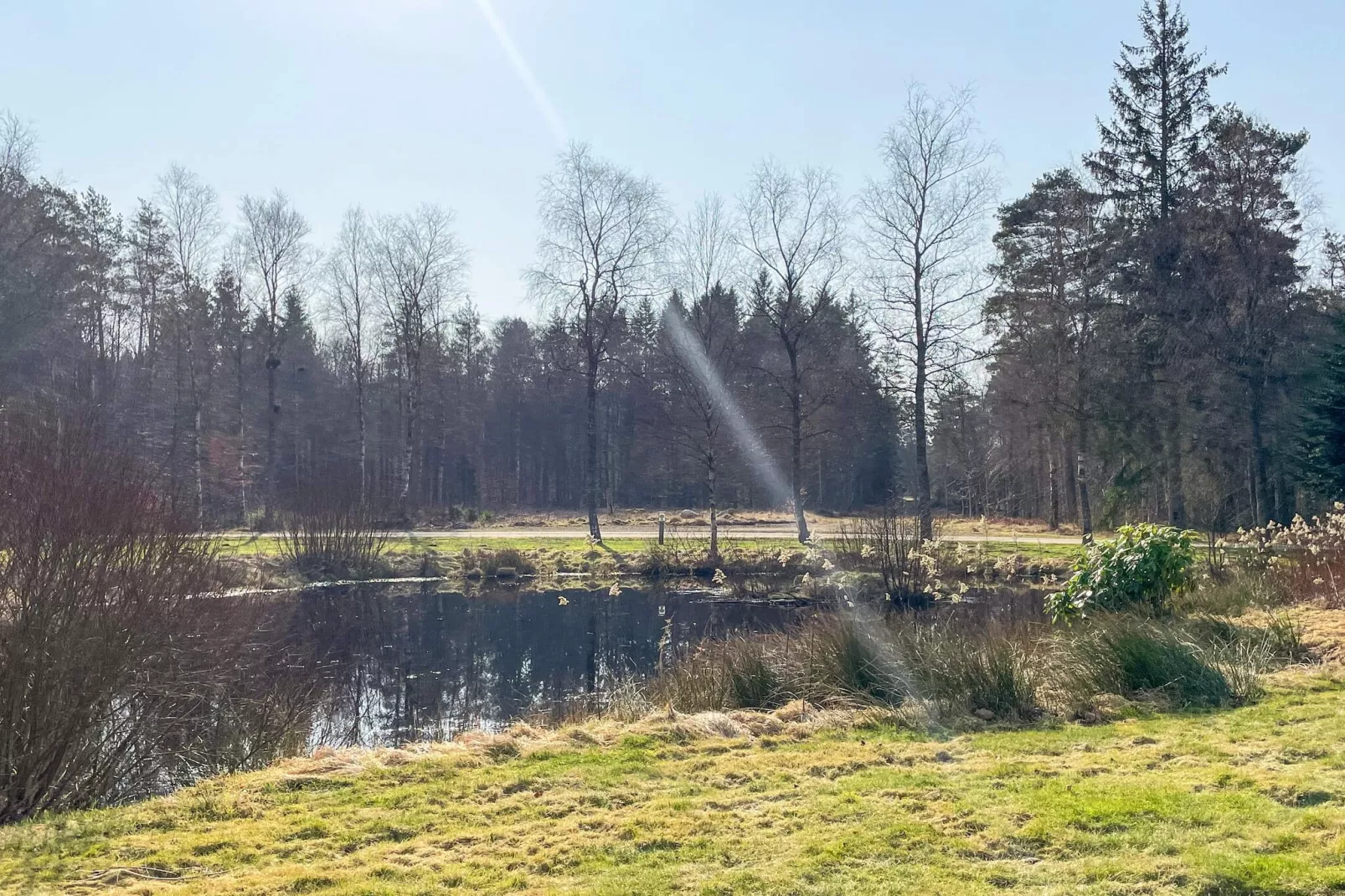 Countryside  retreat for 4 guests-Outdoor