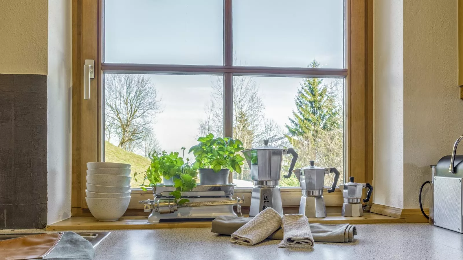 Kitz Hills Chalet Mondschein-Kitchen