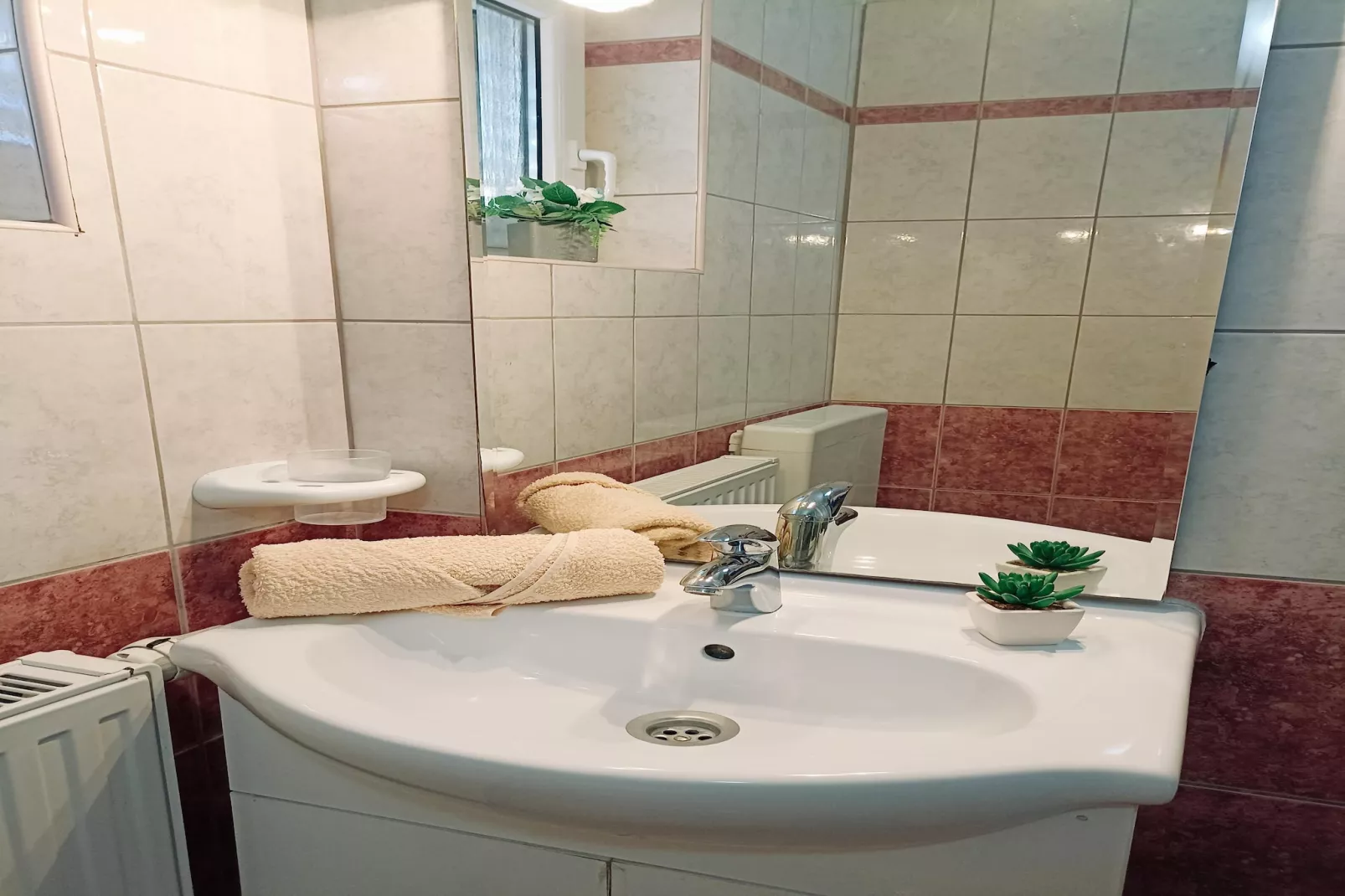 Apartman Biondic DC-Badezimmer