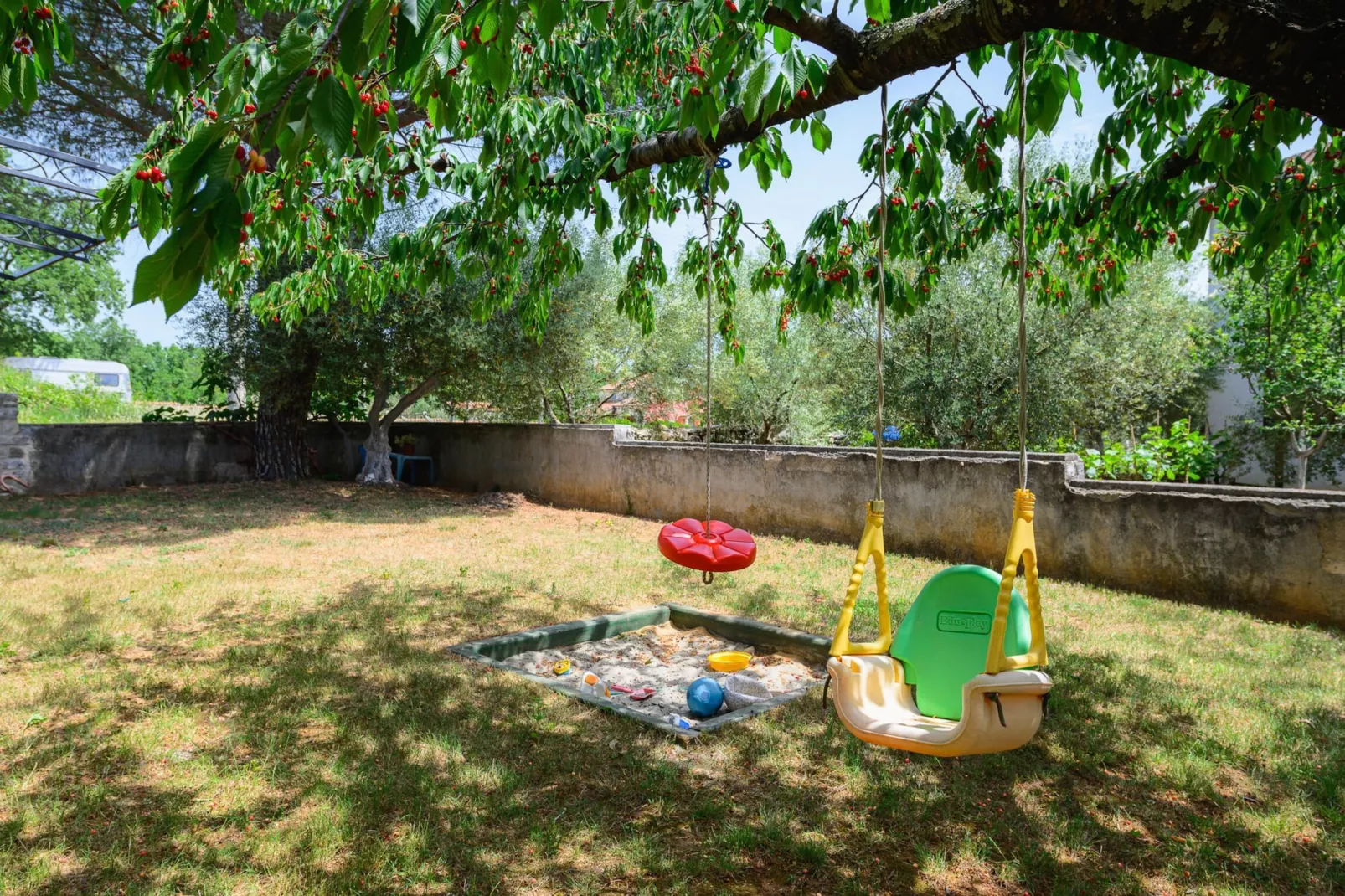 Premium Apartment David-Gardens summer