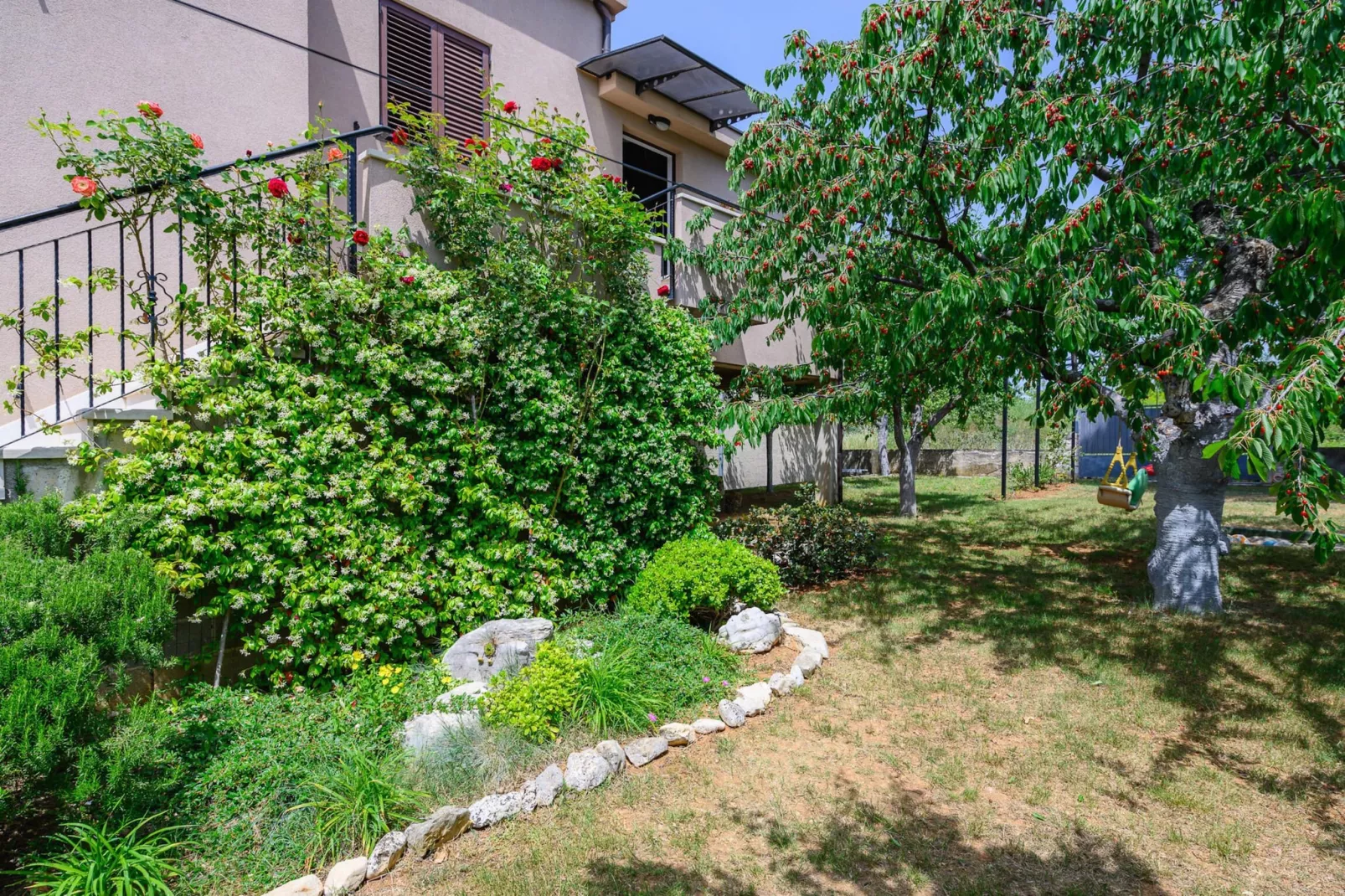 Premium Apartment David-Gardens summer