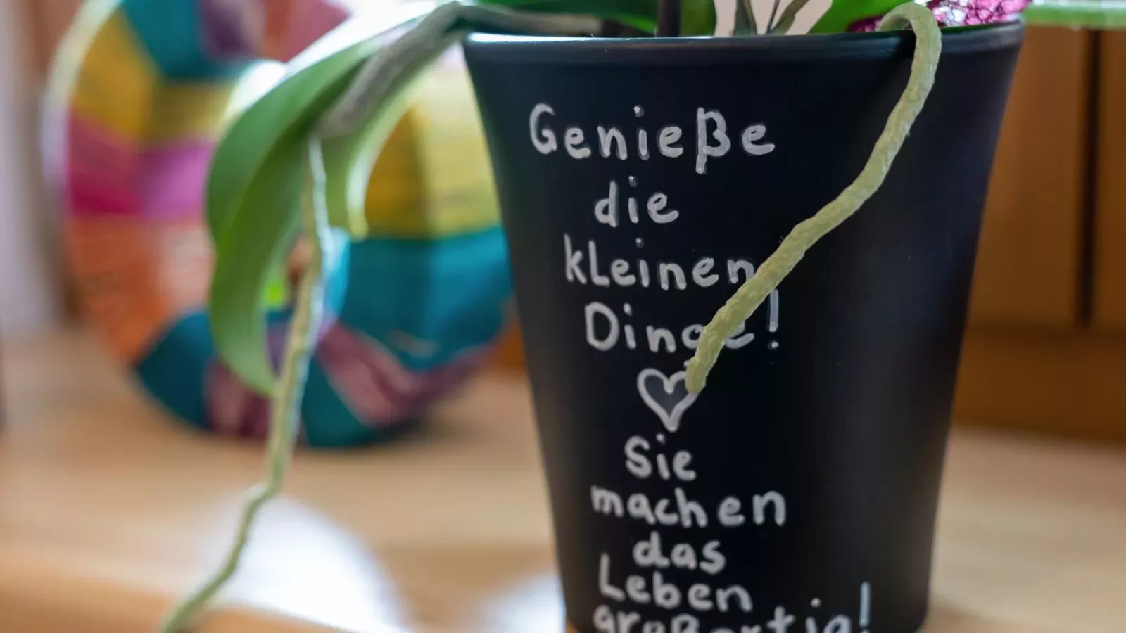 Blumenwiese I und II-Ambiente