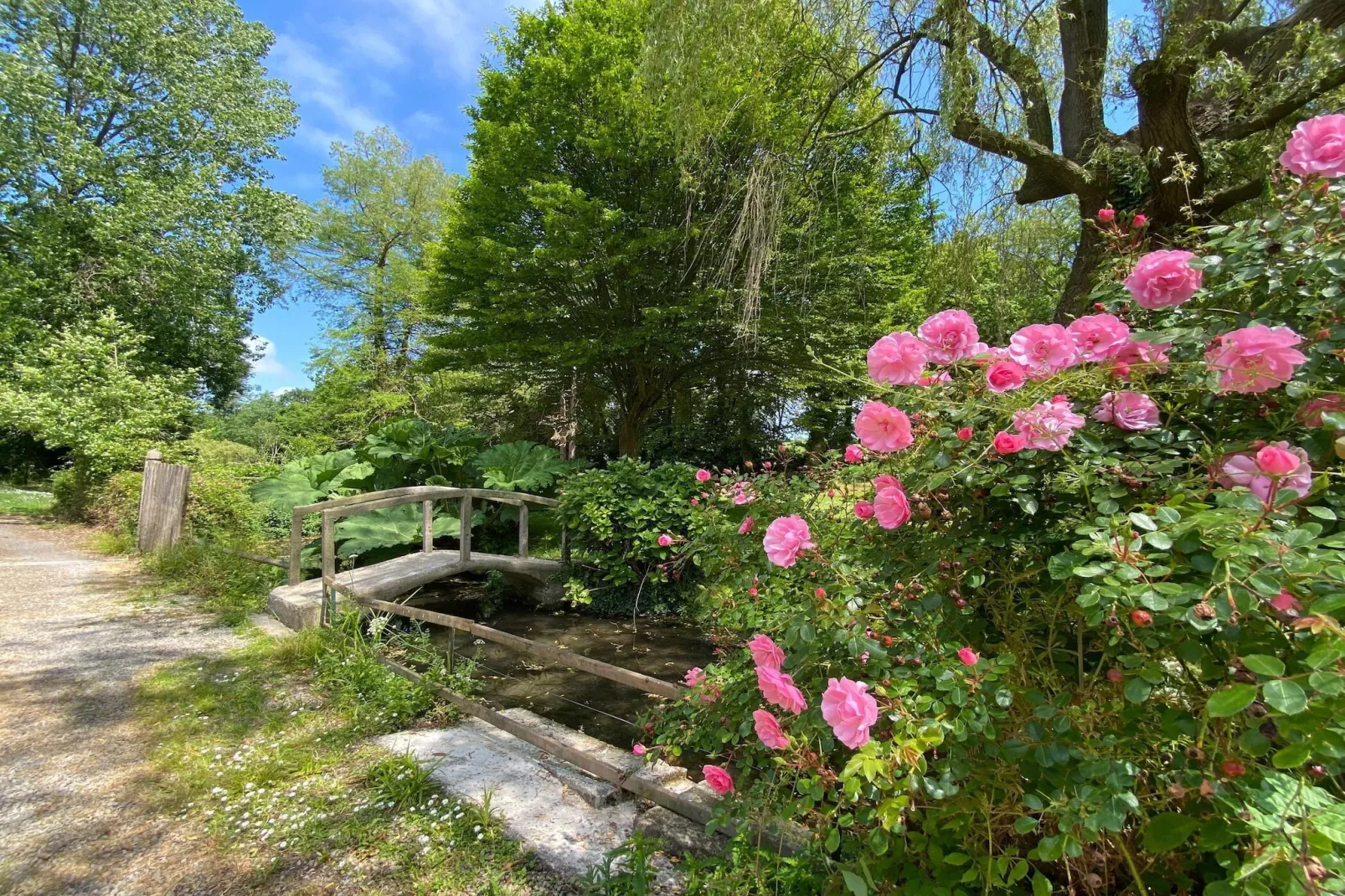 Semi-detached house St Sauveur-le-Vicomte--Gardens summer