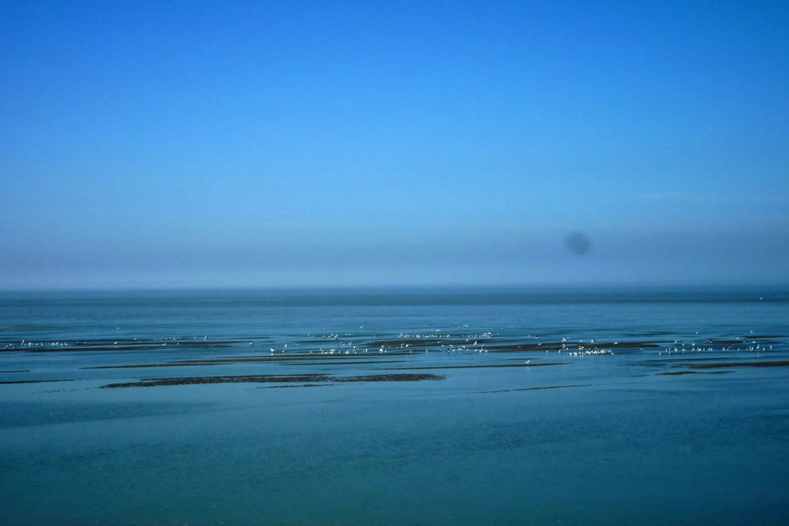 Holiday home Cayeux-sur-Mer-Areas summer 1km