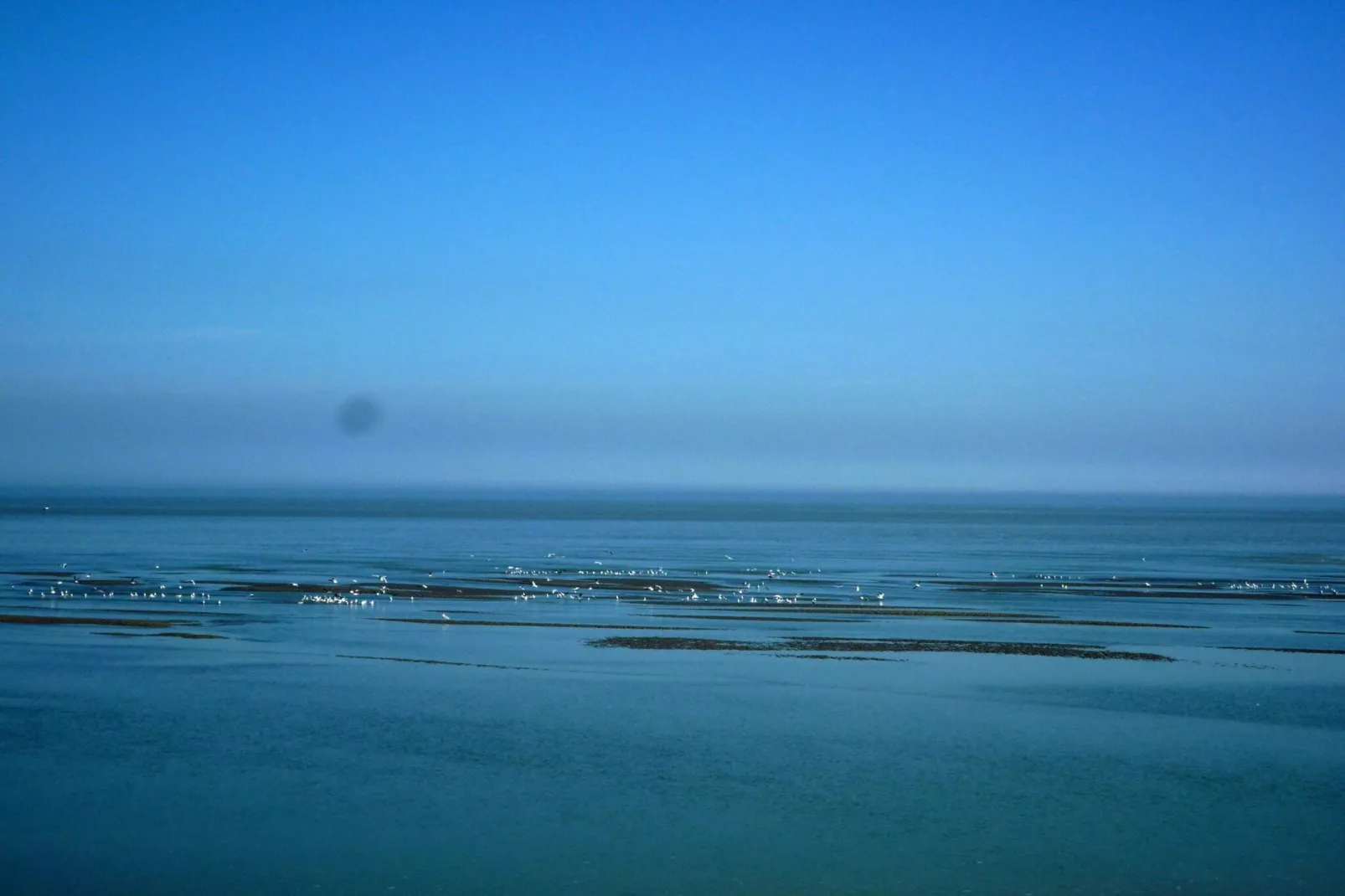 Holiday home Cayeux-sur-Mer-Areas summer 1km
