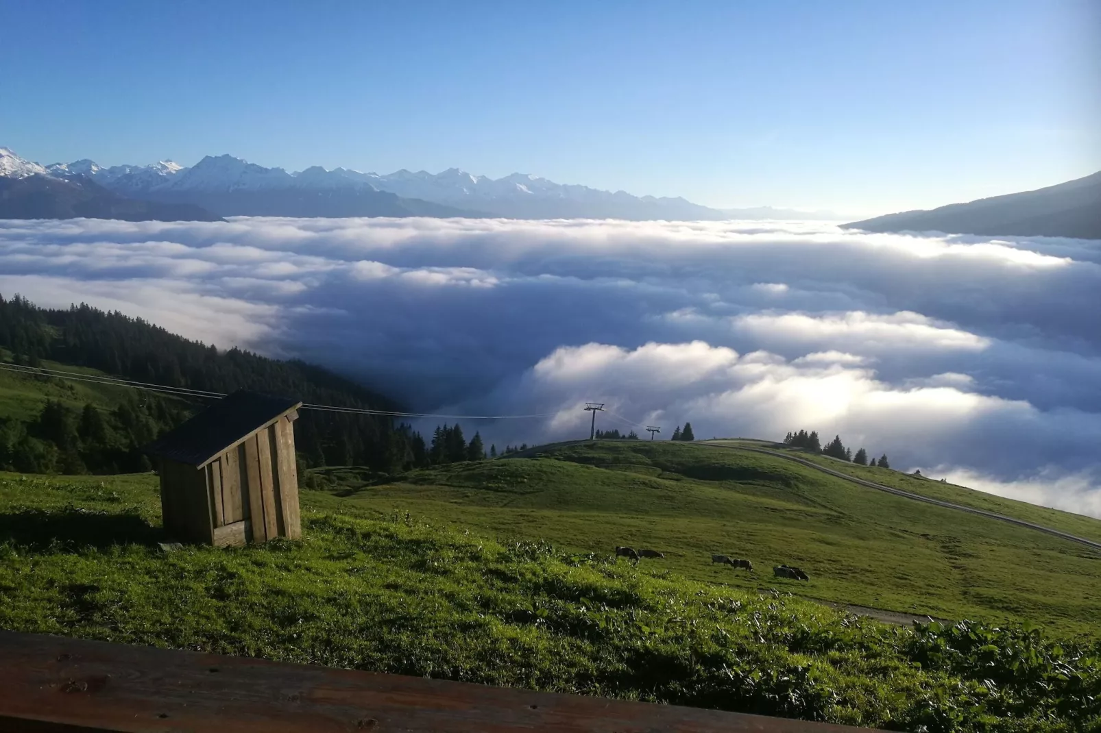 Almhütte Gipfelblick-Aussicht Sommer