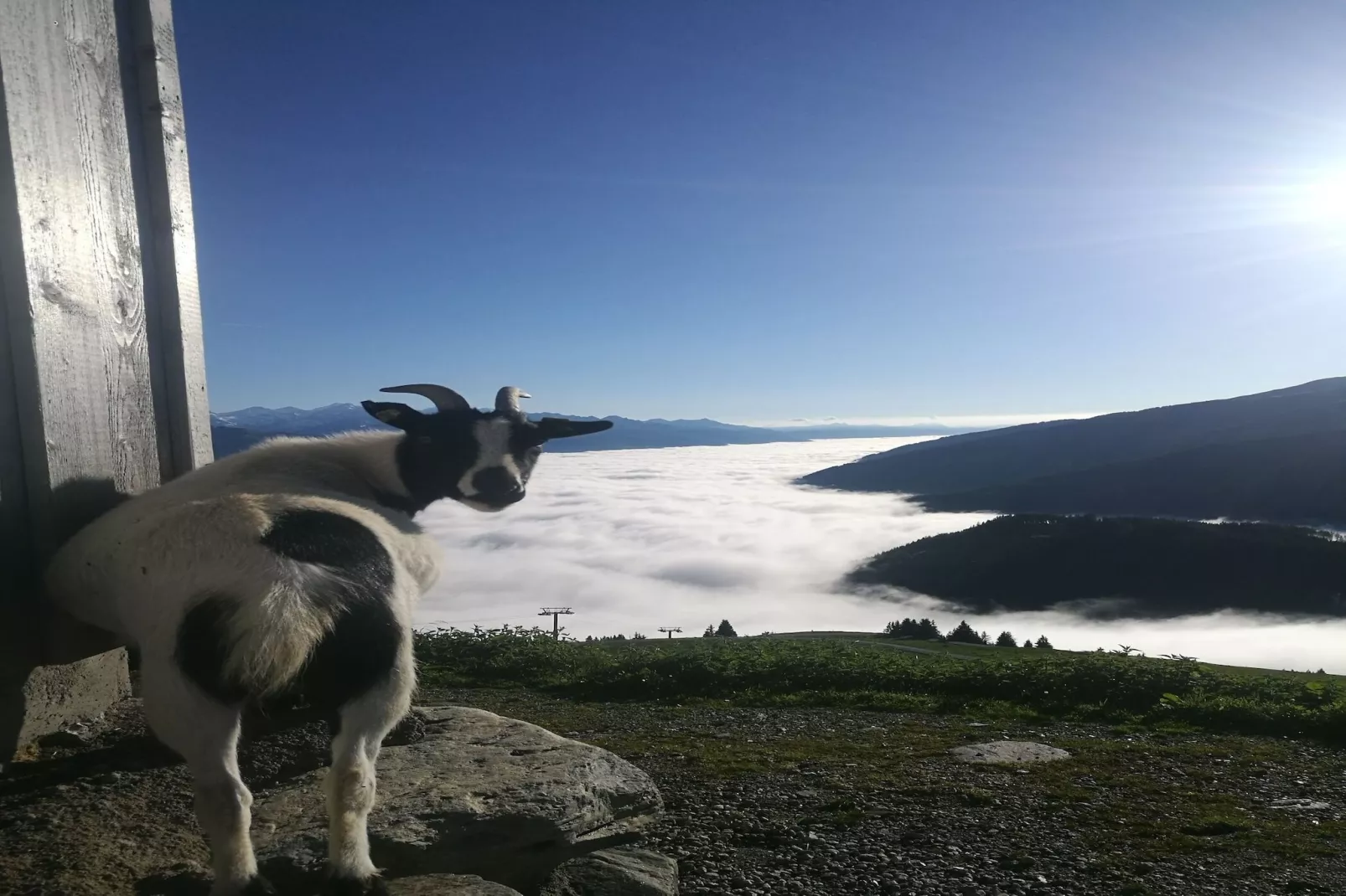 Almhütte Gipfelblick-Aussicht Sommer