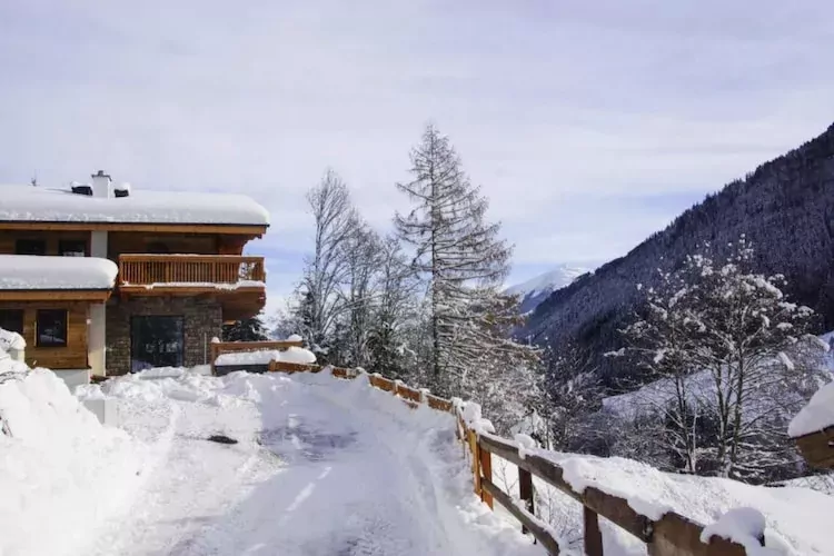 Chalet Glemmerl Mountain Lodge-Garten Winter
