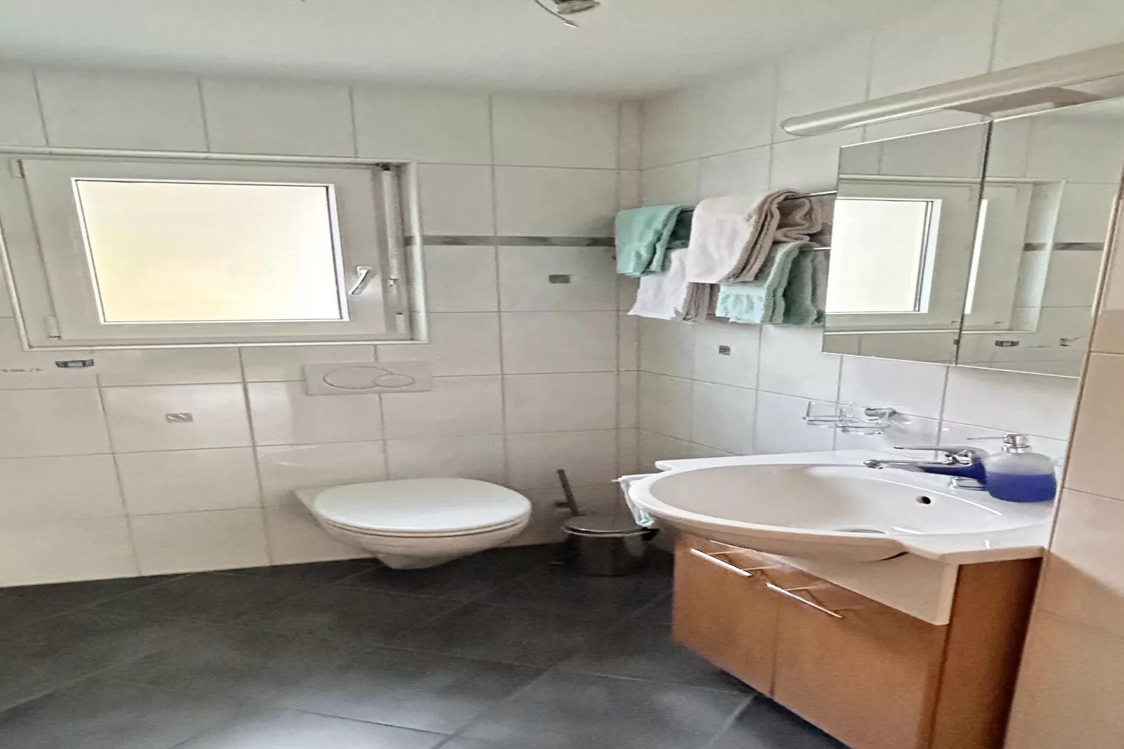 Haus Alpenstern Wohnung Distel-Badezimmer