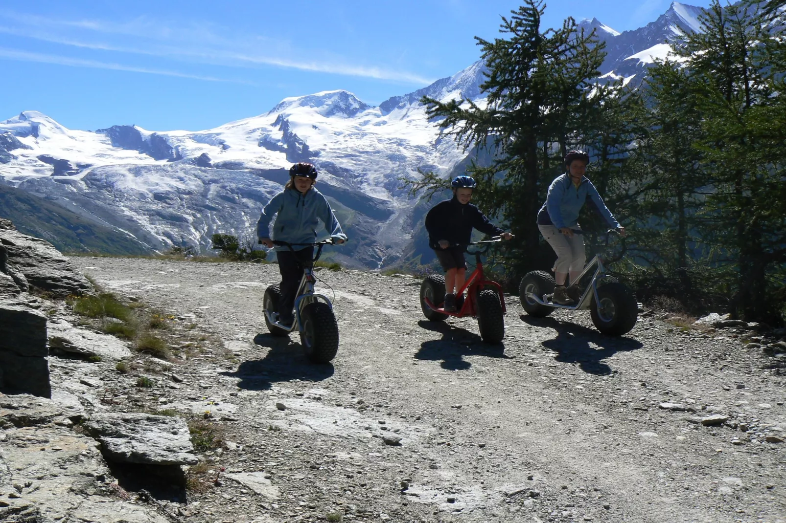 Haus Alpenstern Wohnung Distel-Gebiete Sommer 5 km