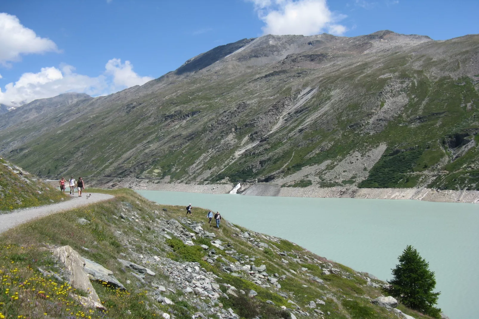 Haus Alpenstern Wohnung Distel-Gebiete Sommer 20 km
