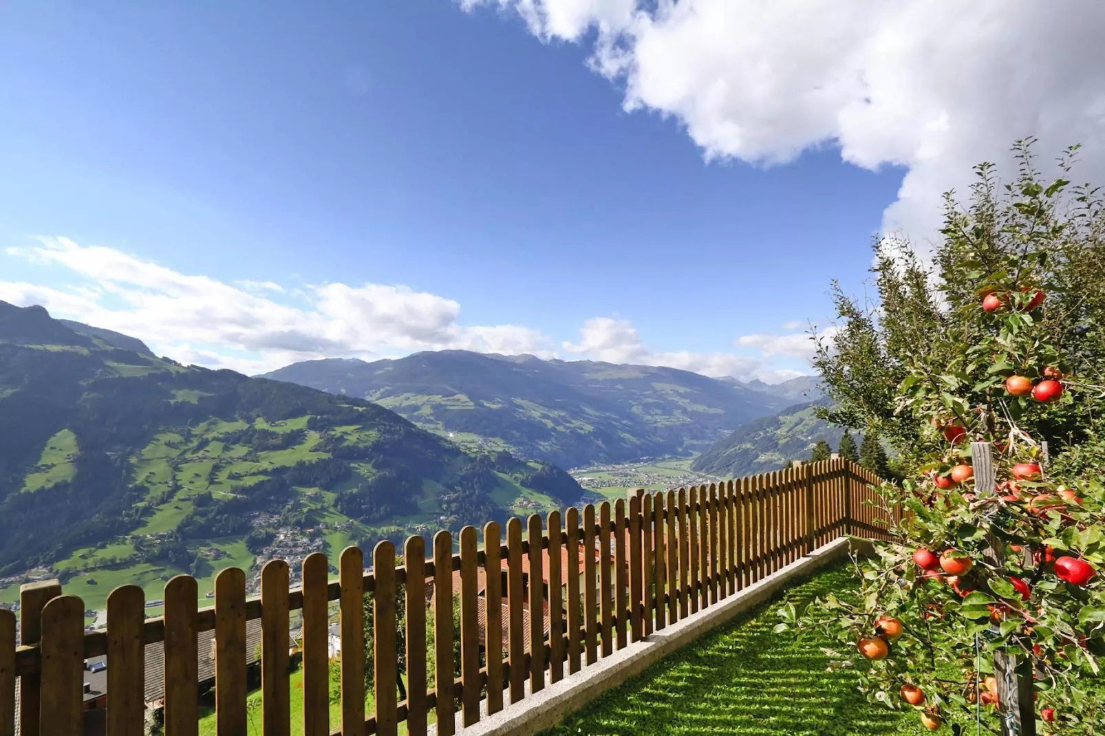 Haus Steinberger-Vue d'été