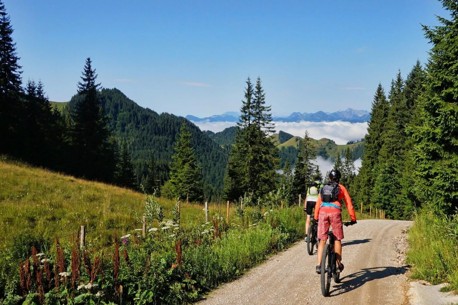 Ferienhaus Sturmer-Areas summer 5km