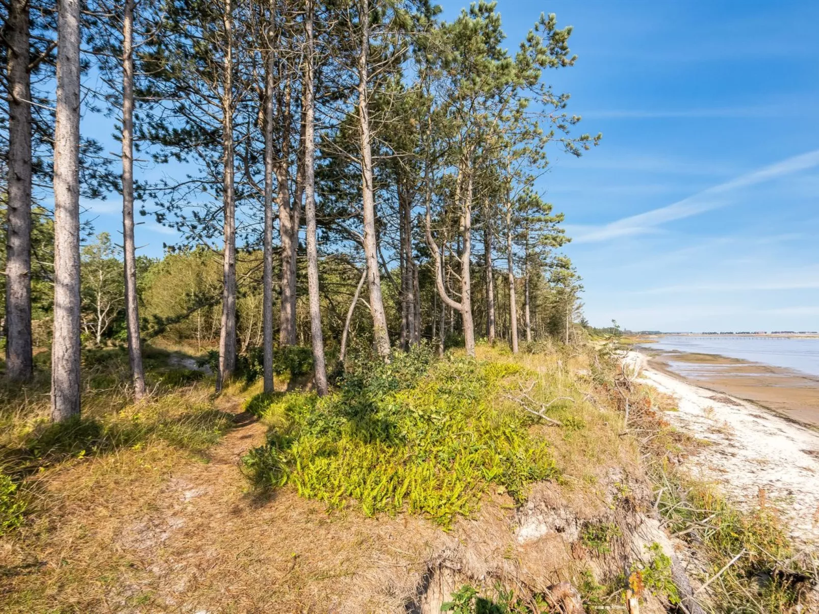 "Amai" - 100m from the sea-Outside