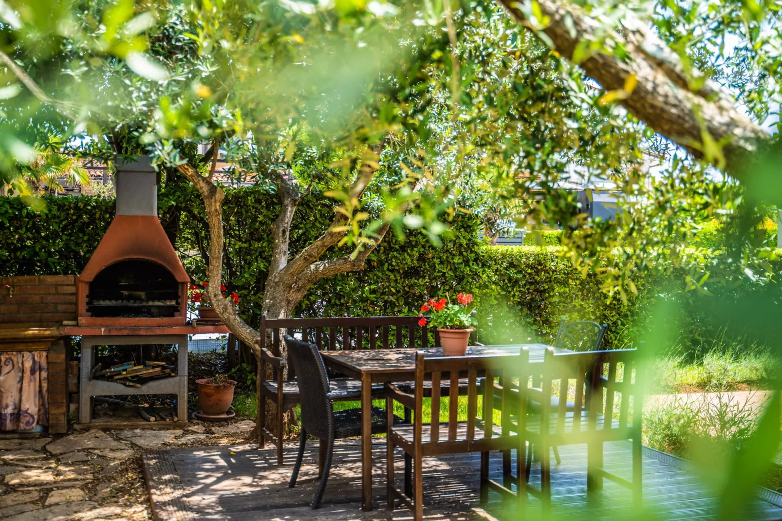 Oliveto - Apartment Lavanda with Sea View-Gardens summer