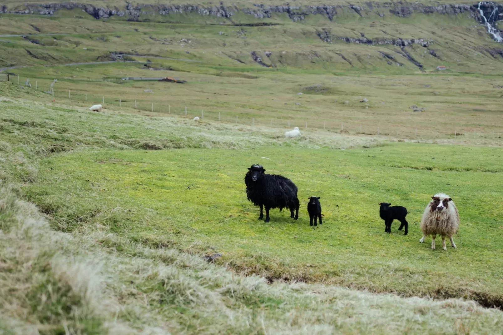 Tranquil Haven in Hellurnar - By Traum Ferienwohnungen-Not tagged