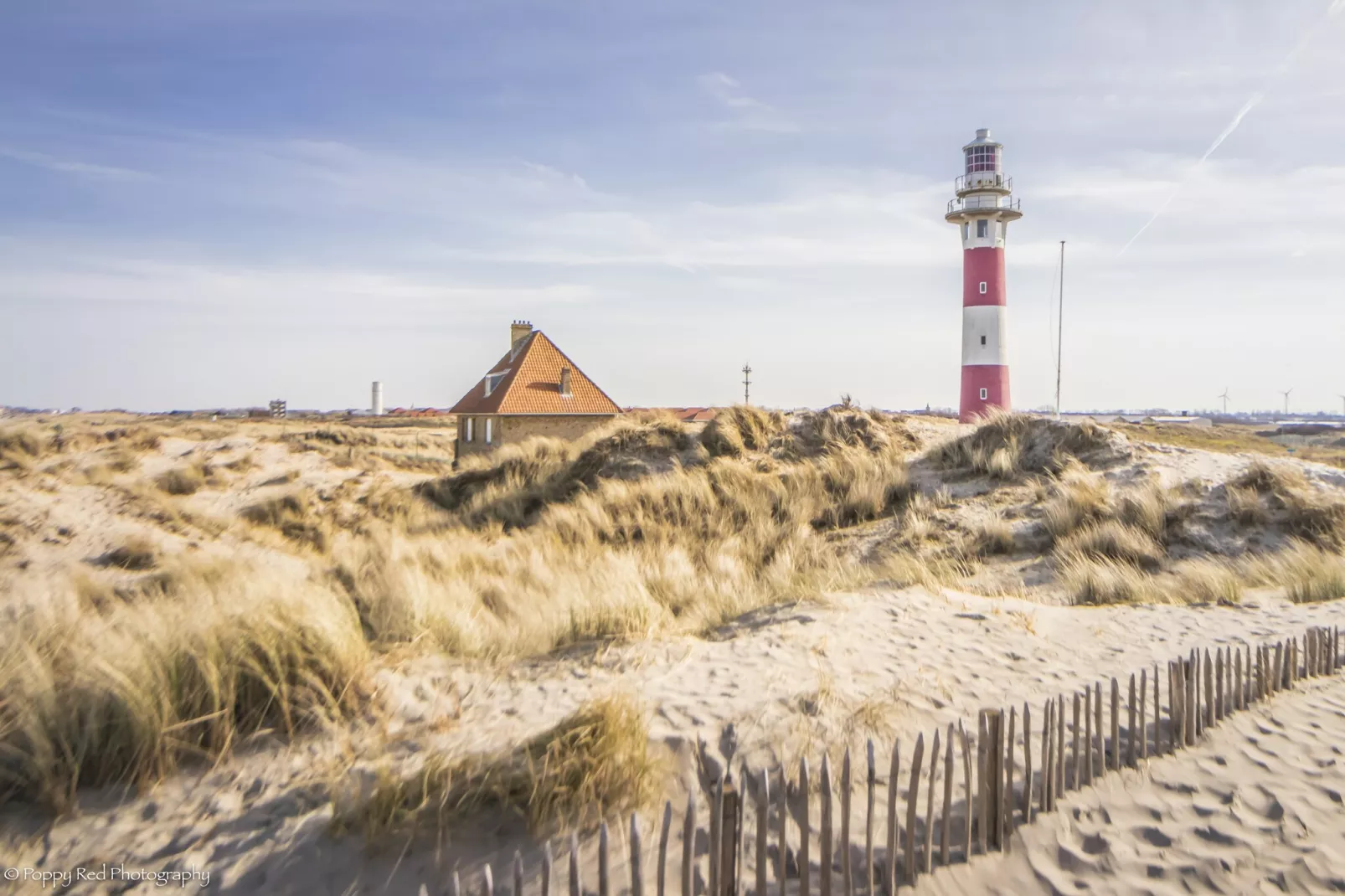 DE BRANDING 601-Areas summer 5km