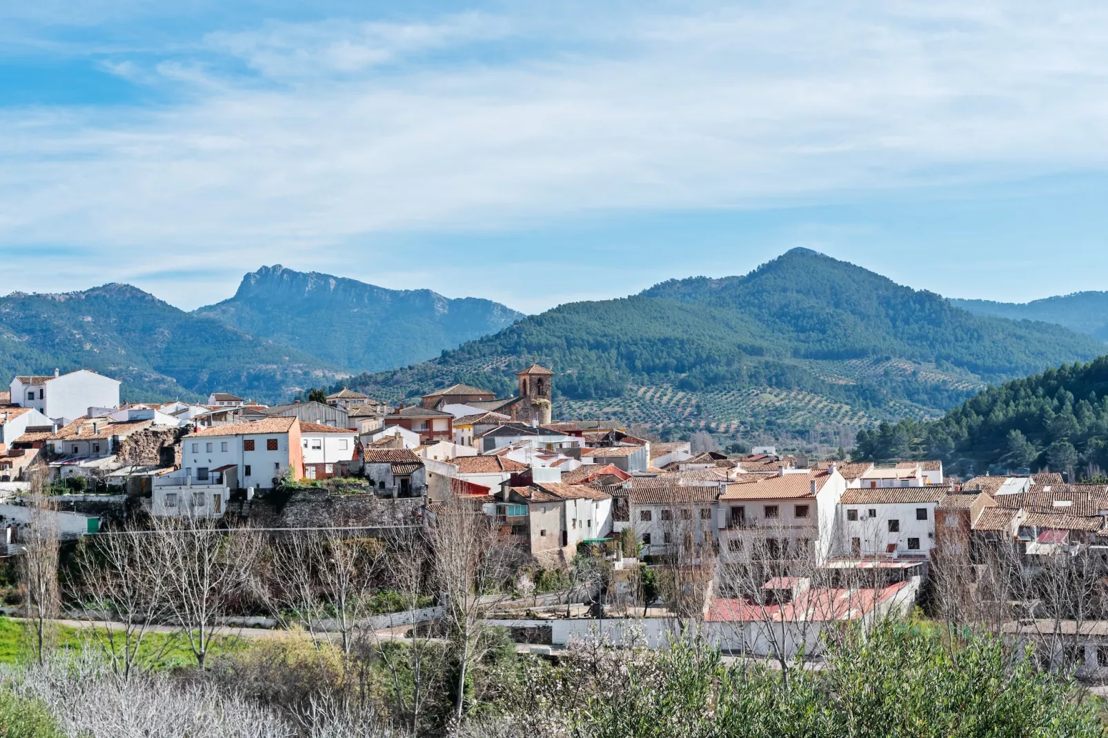 Bienservida-View summer