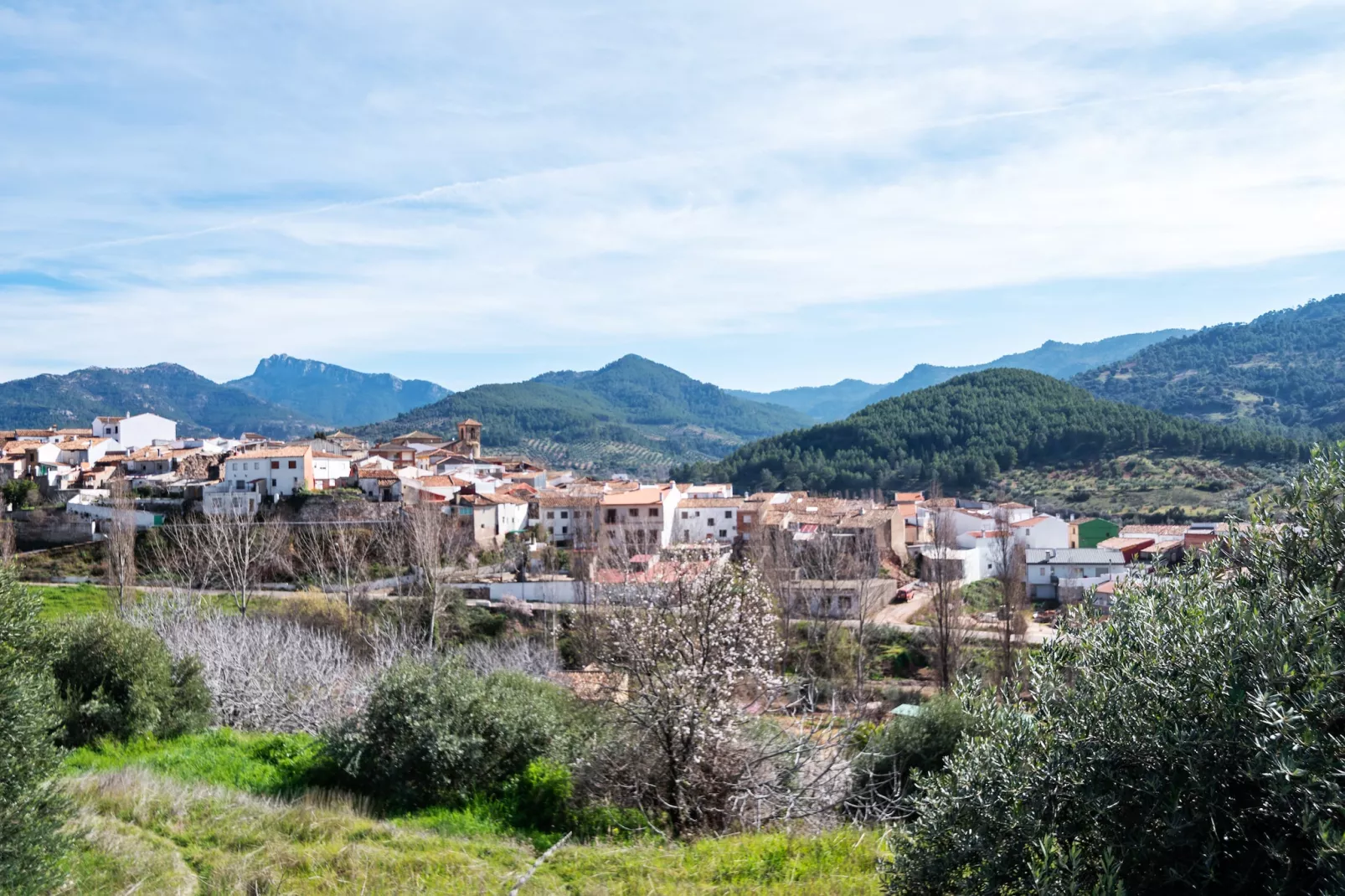 Bienservida-Areas summer 1km
