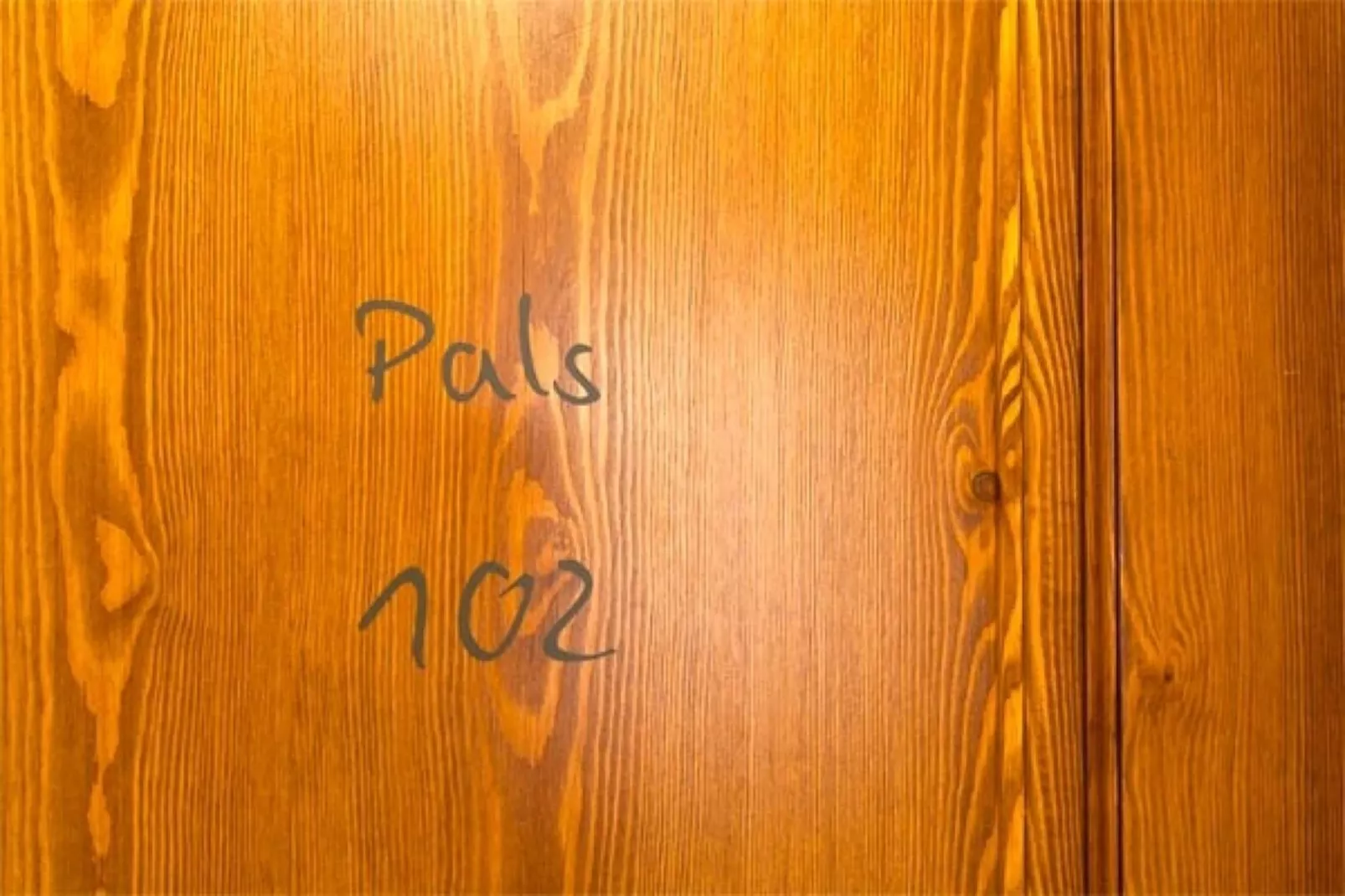 PETIT PALS 102 - PALS-Ambiente