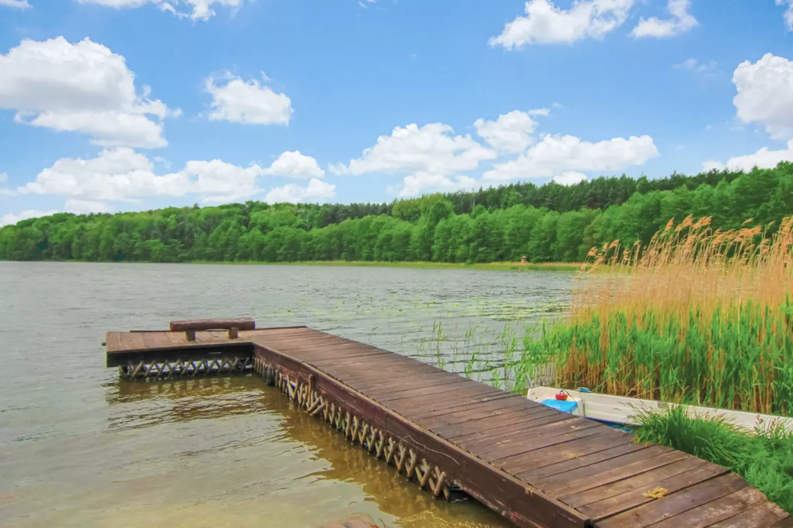 Holiday home, Kolczewo-Las Palmas 1-Areas summer 1km