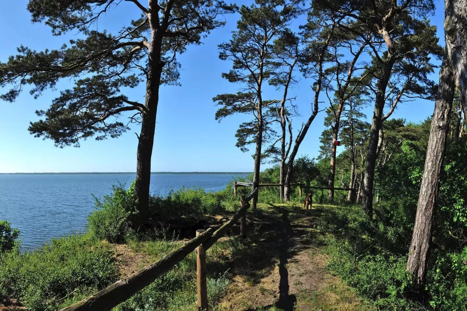 Holiday flat Lubin-Areas summer 5km