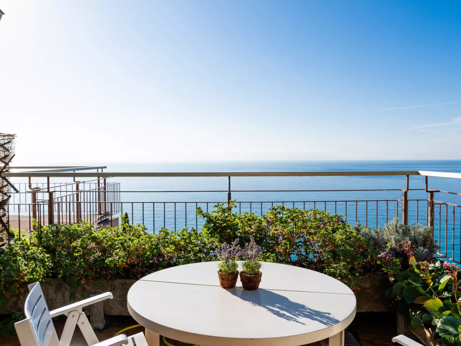 Monte Carlo View-Outside