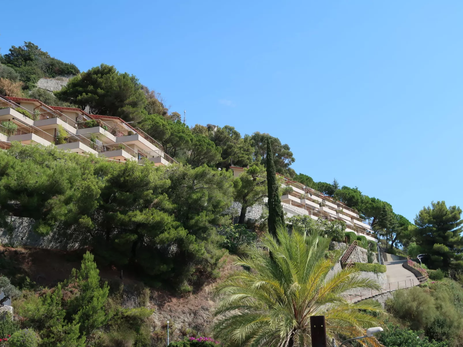 Monte Carlo View-Outside