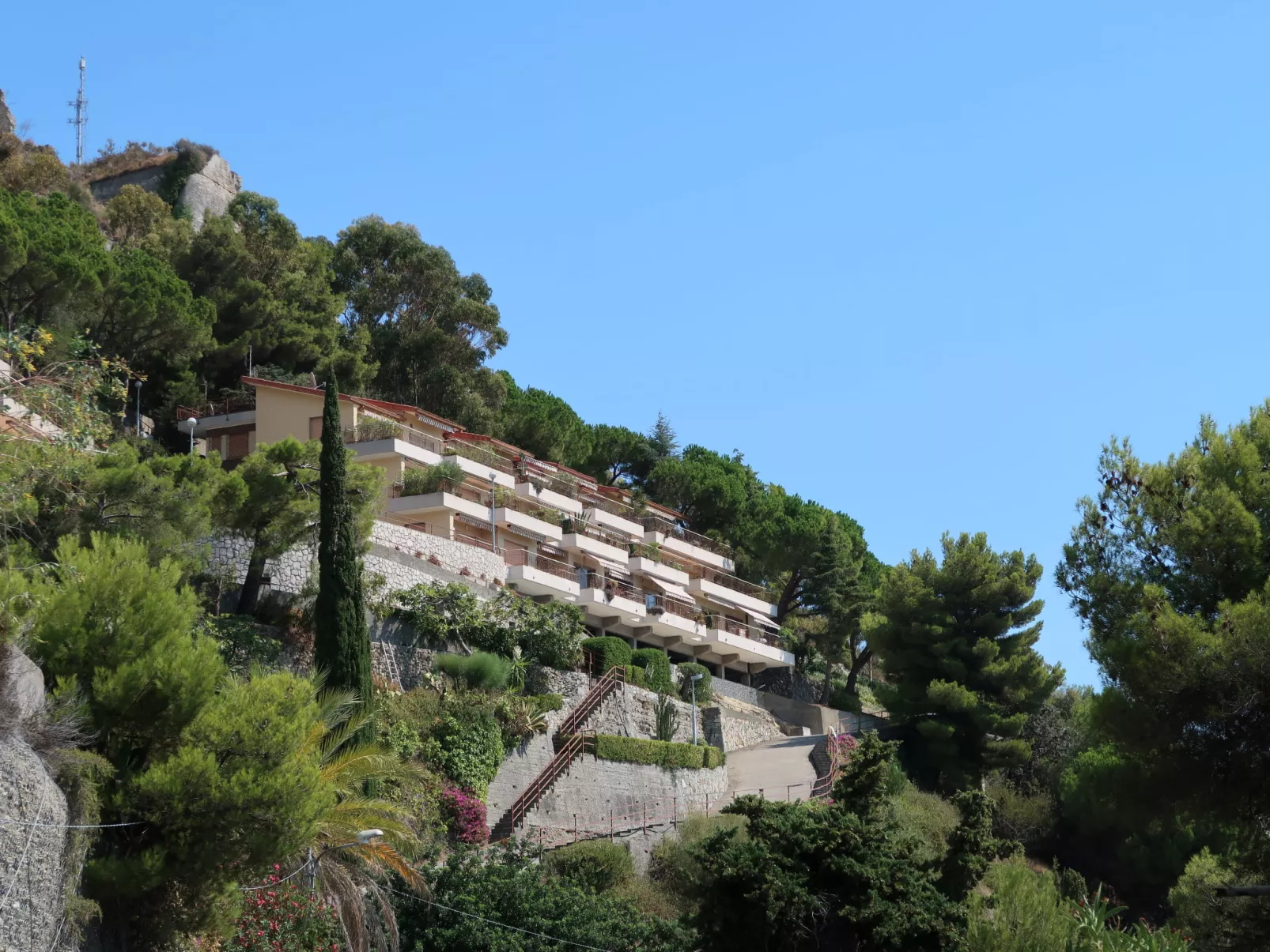 Monte Carlo View-Outside