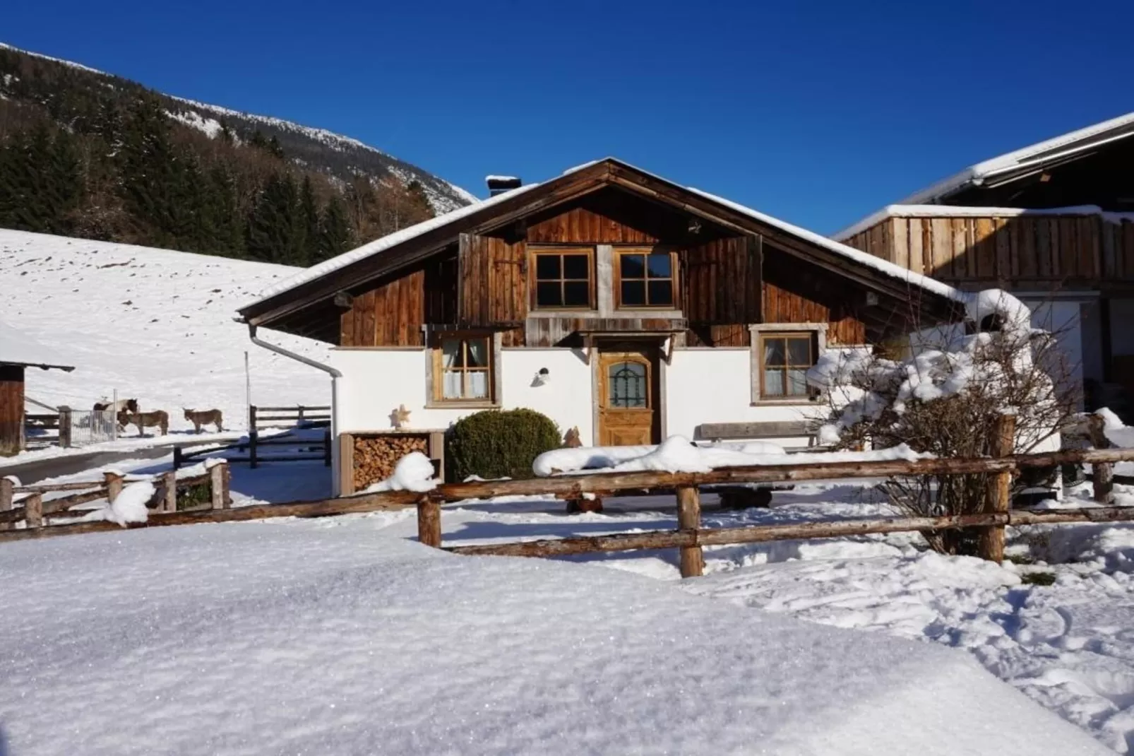 Roßweid Huette-Exterior winter