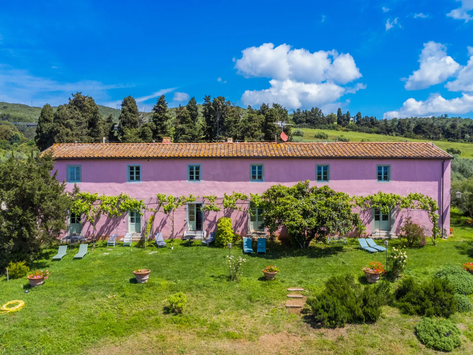 Marruca - 10180233