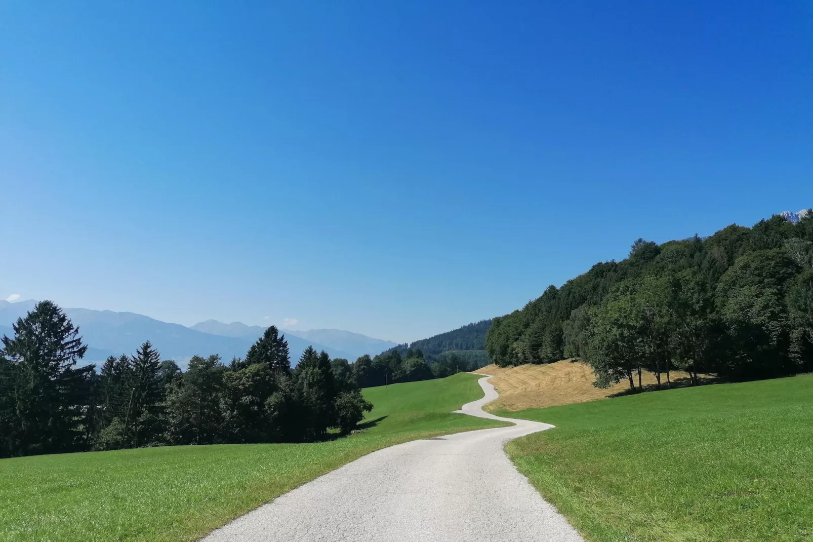 Roßweid Huette-Areas summer 5km