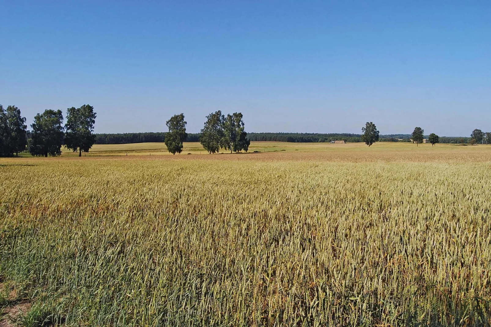 Dom wakacyjny z basenem dla 7 osób Sieciemin-Areas summer 1km