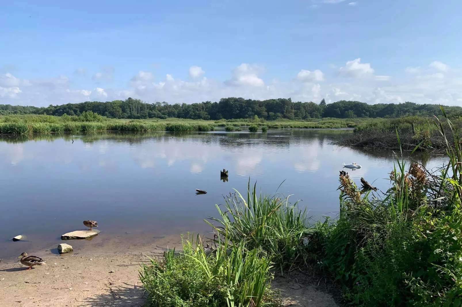 Domek całoroczny starszy TYP A Ustronie Morskie-Water view