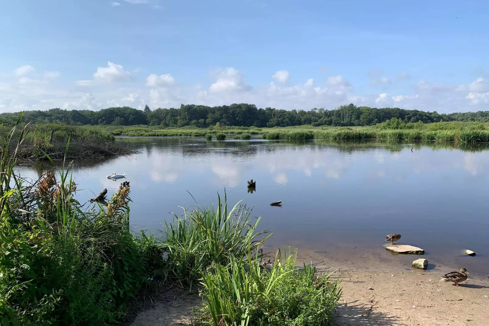 Domek parterowy 30 m2 TYP B Ustronie Morskie-Areas summer 5km