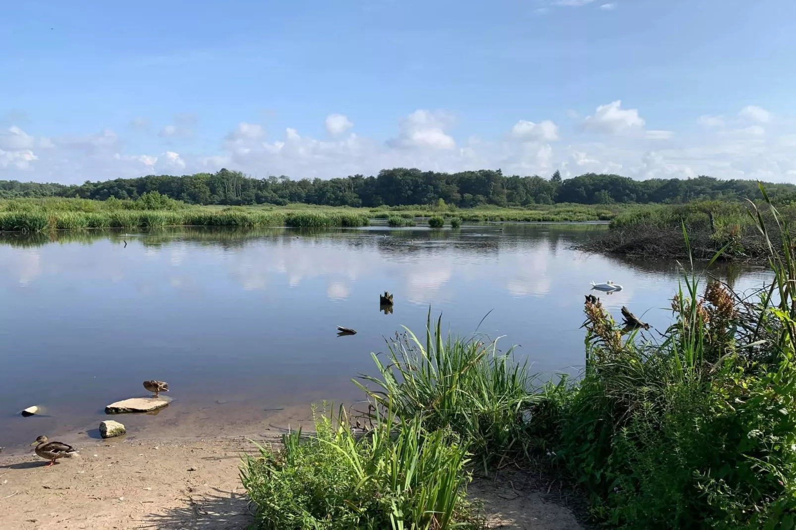 Domek piętrowy TYP C Ustronie Morskie-Vue d'été