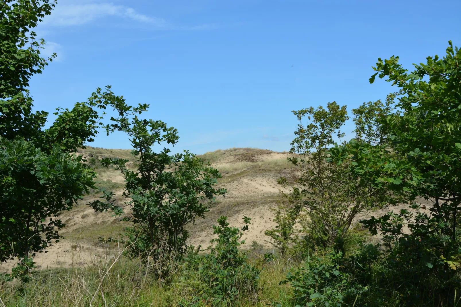 Nana's-Areas summer 5km