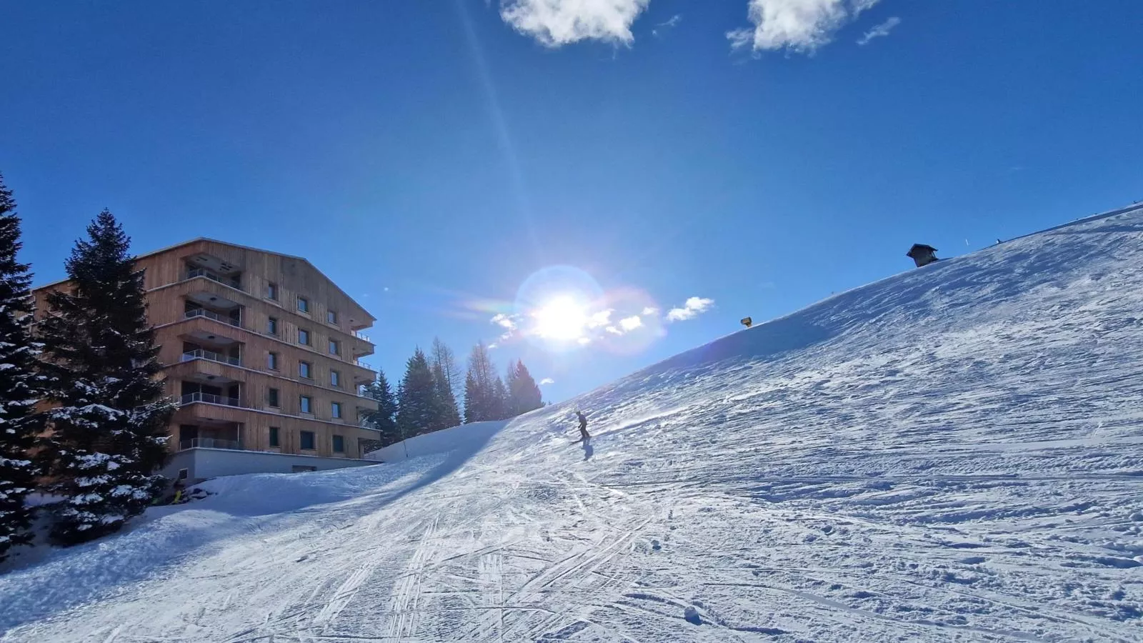 Sonnenalpe Nassfeld Bergblume - 10139805