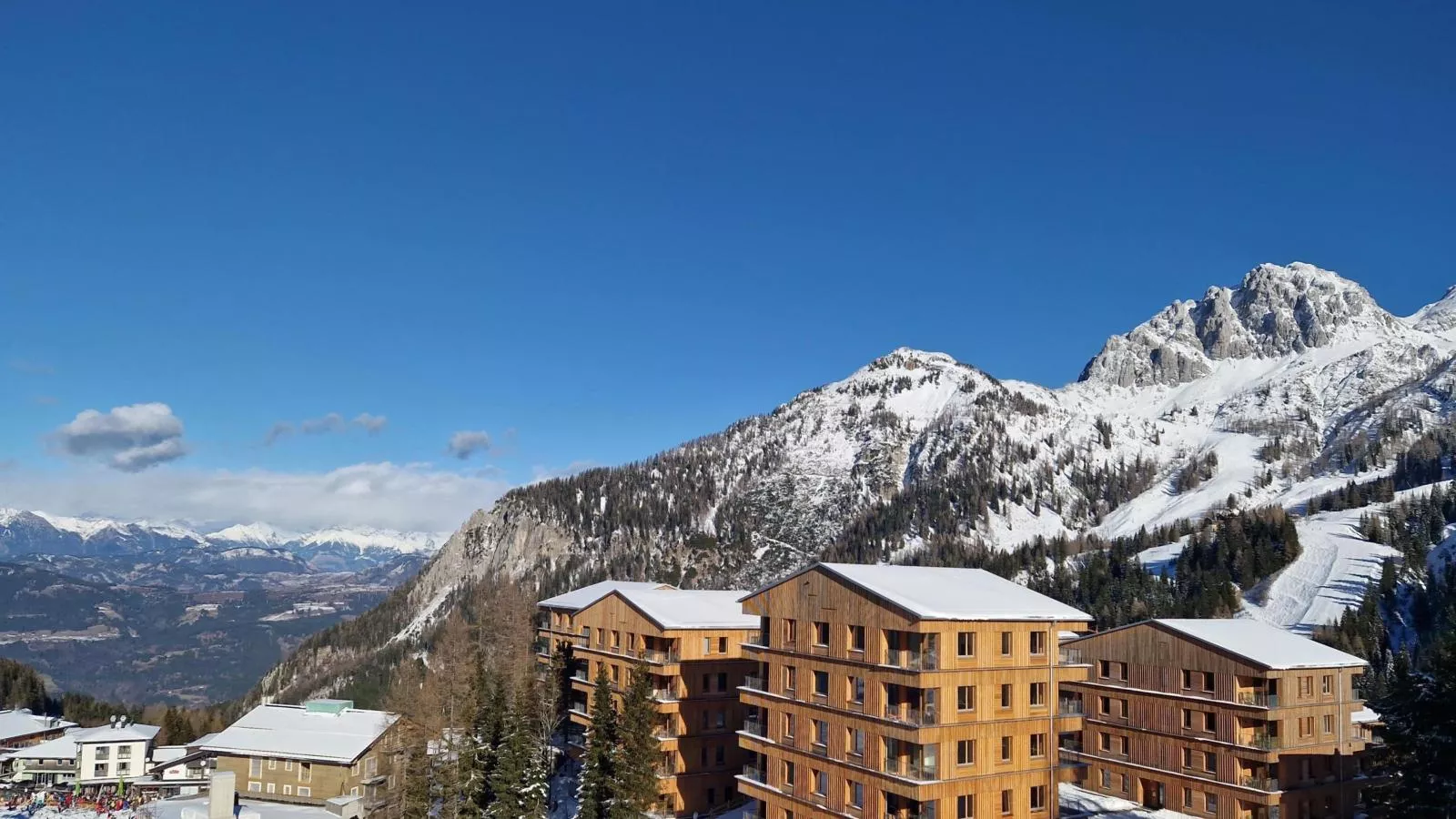 Sonnenalpe Nassfeld Bergblume - 10139806