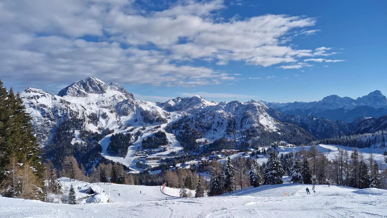 Sonnenalpe Nassfeld Bergblume - 10139807