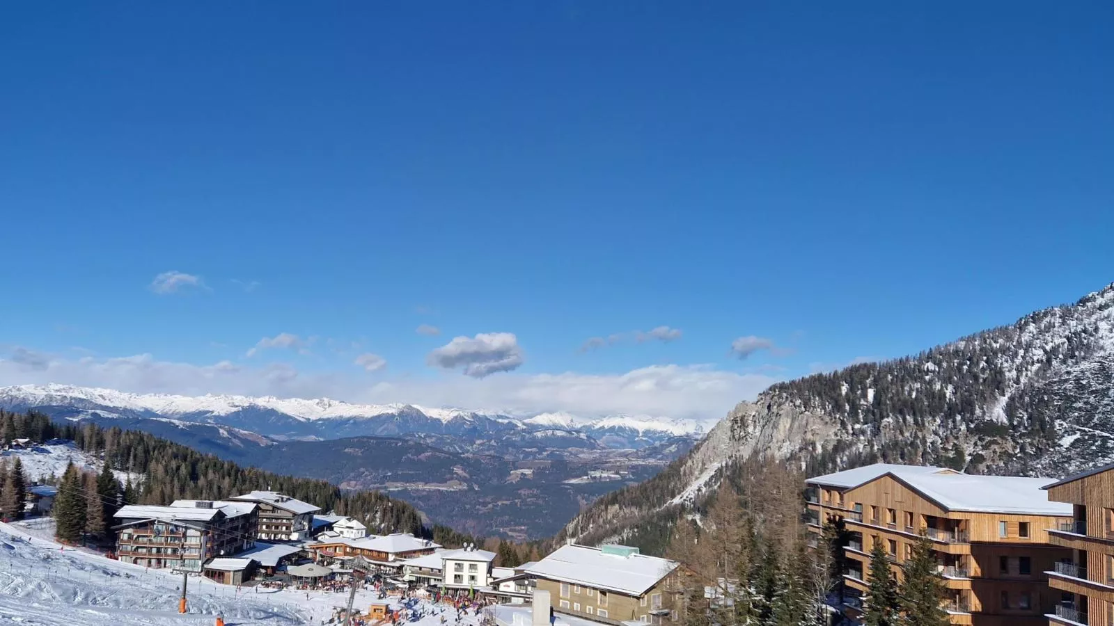 Sonnenalpe Nassfeld Bergblume - 10139809