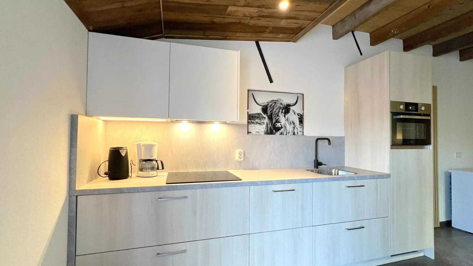 De Rouwenbogt-Kitchen