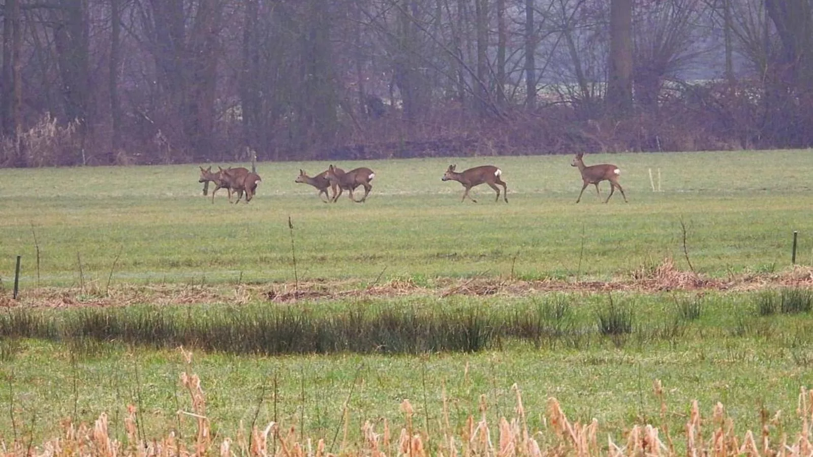 De Rouwenbogt-View summer