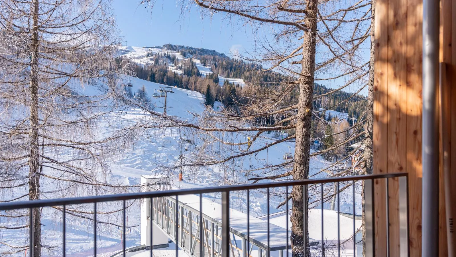 Sonnenalpe Nassfeld Bergblume - 10229262