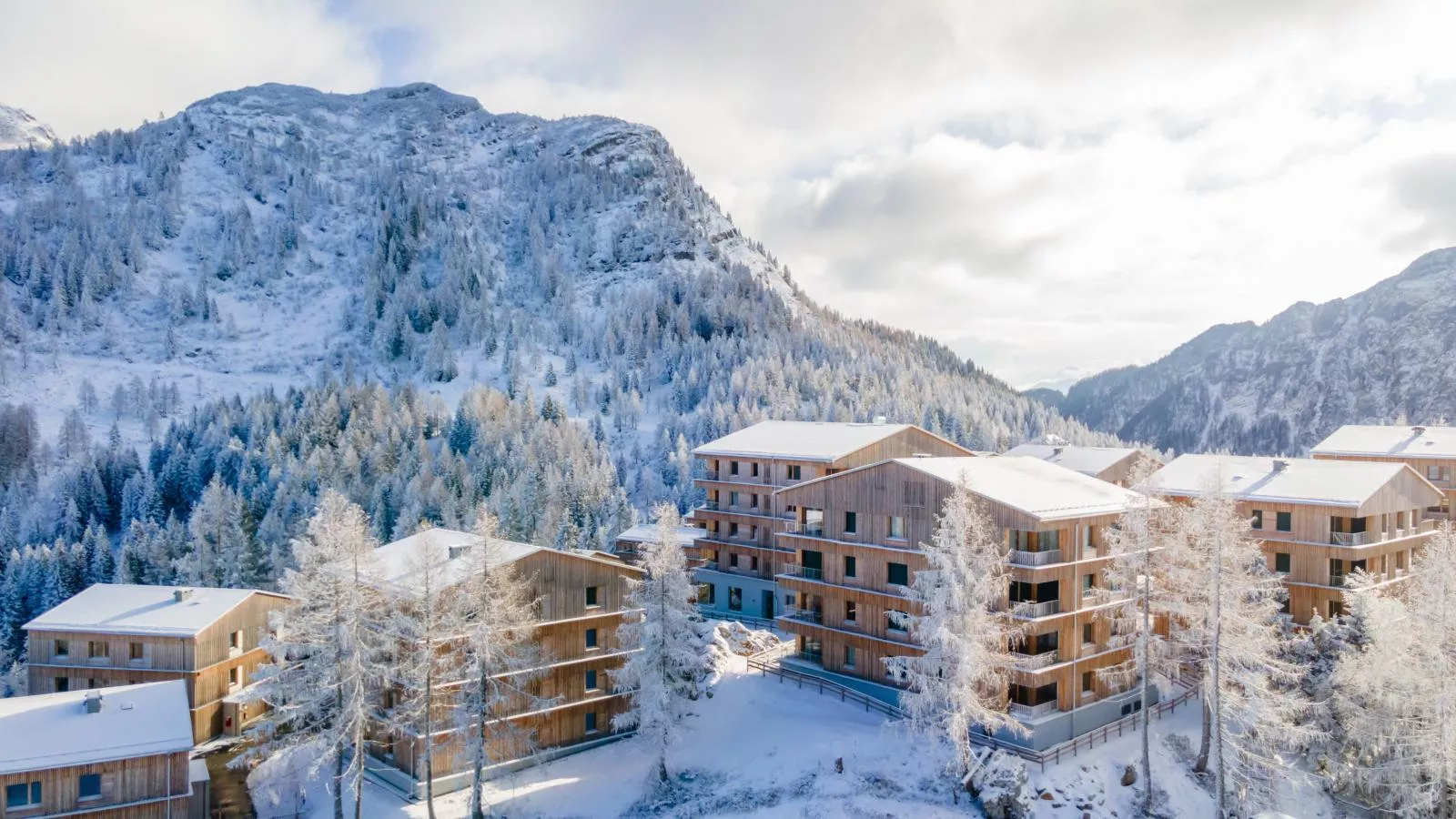 Sonnenalpe Nassfeld Bergblume - 10229263