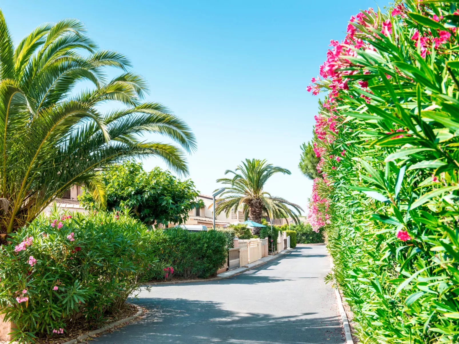 Domaine des Tamaris-Inside