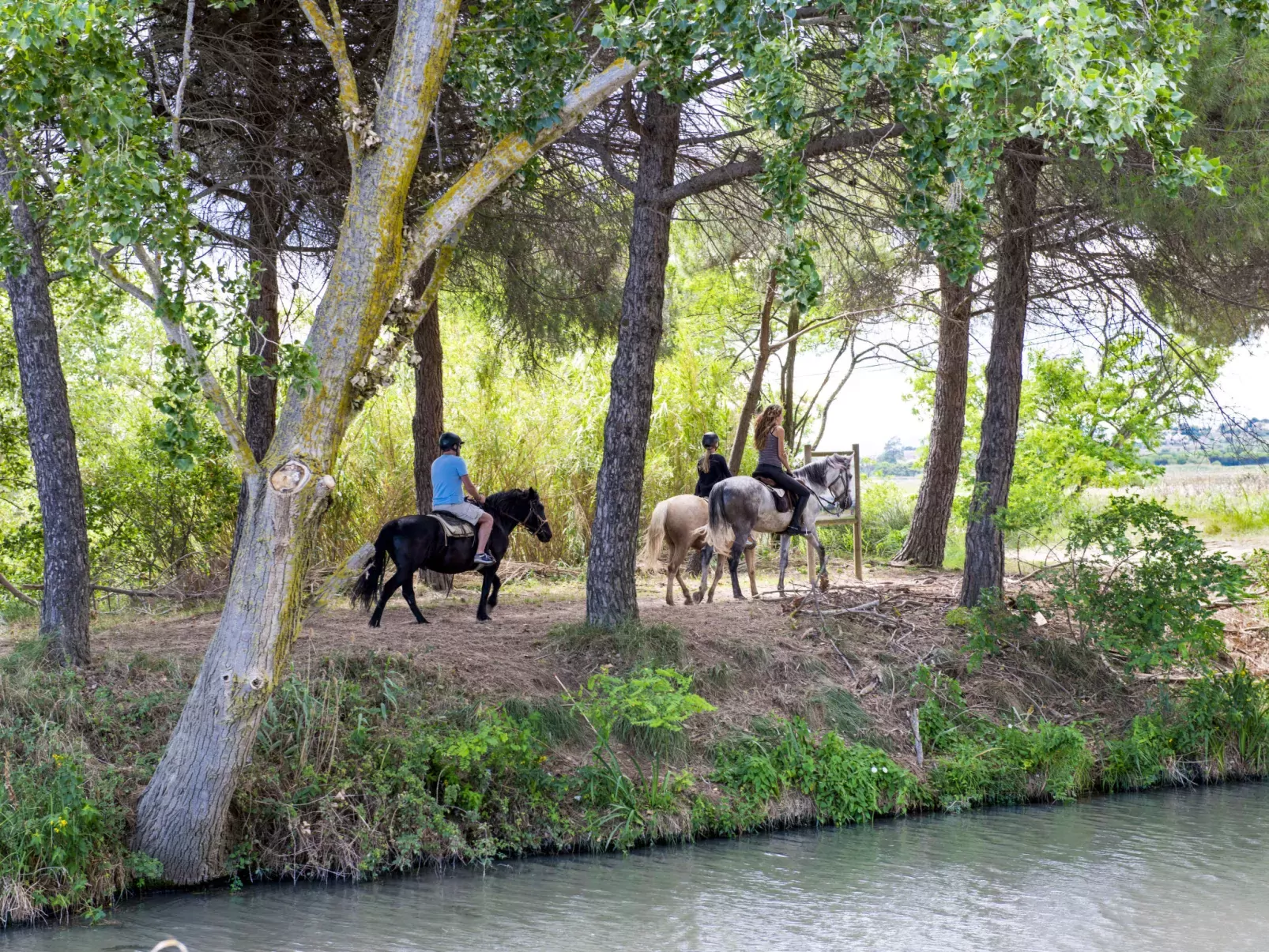 Domaine des Tamaris-Area