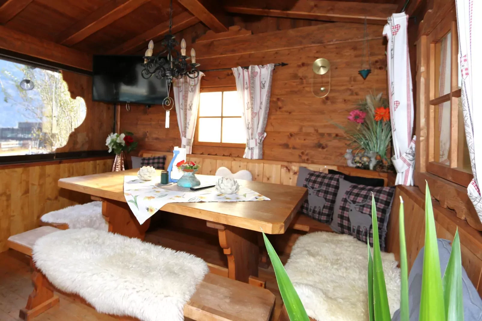 Ferienwohnung Jutta-Garten Sommer